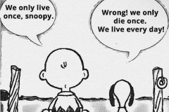 4C349D87-2EA0-4E24-AFC3-1CC3B8841480_1_105_c