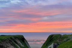 5B525A87-715E-48E4-A5B8-85A8F0AEFE78_1_105_c